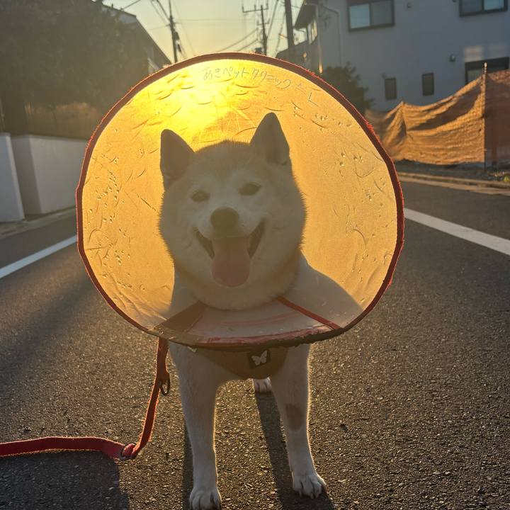 Cf5f1984 34a2 41ef 97a0 ff7c7f2bce2b 1756760780652