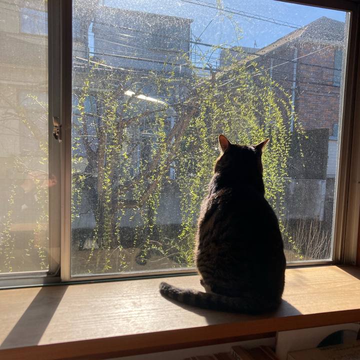 Cf5f2c5f 77fb 47b6 be59 9f993500c608 1711494625975