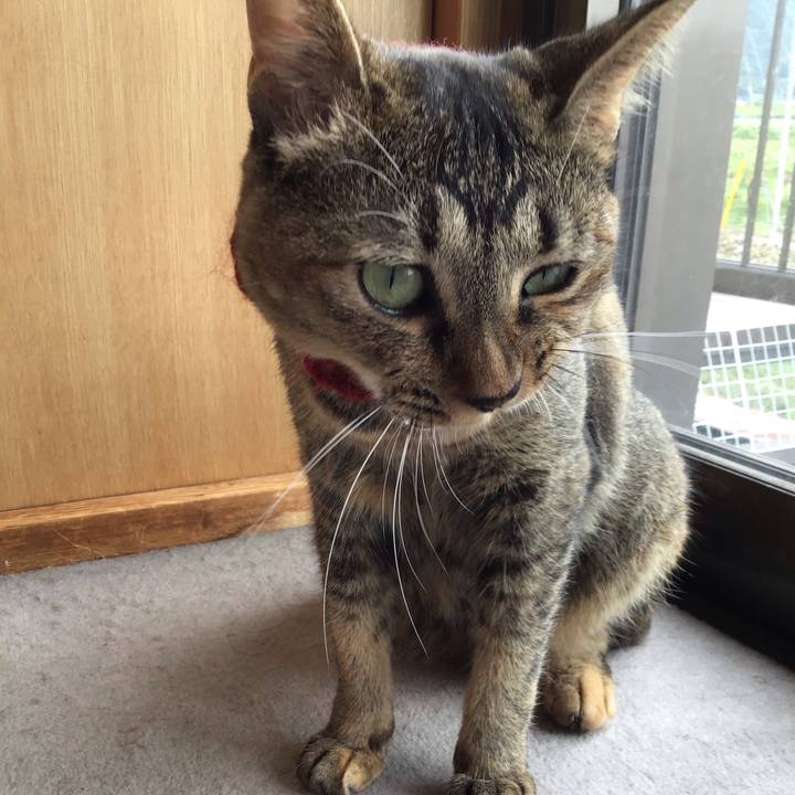 Cf5fb376 d5a2 4759 a020 88f243099849 1600583627361