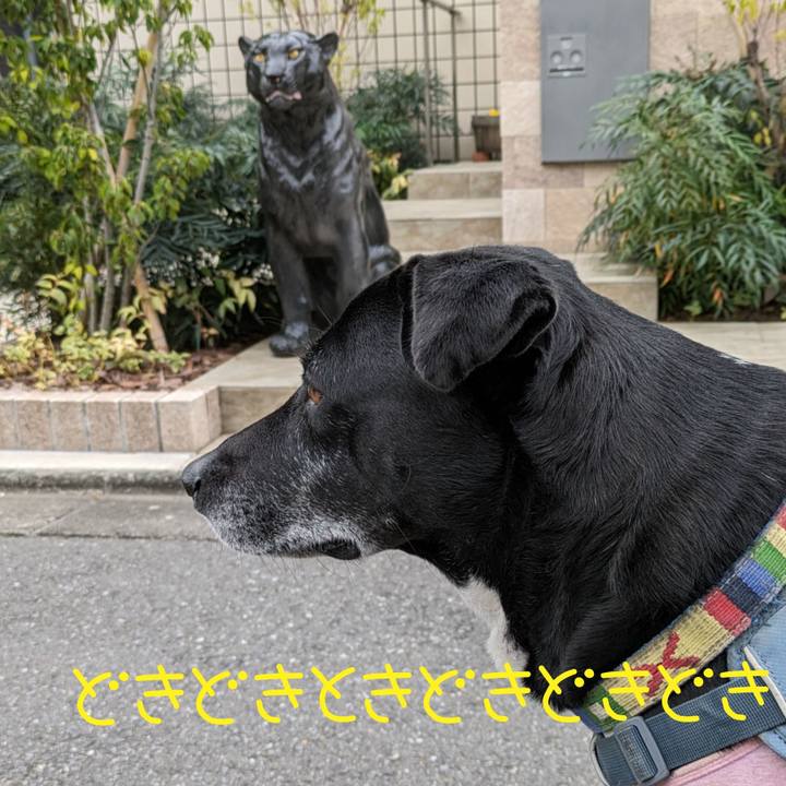 Cf5fde05 0372 49cf 9672 7a24bbafcf66 1709601693870