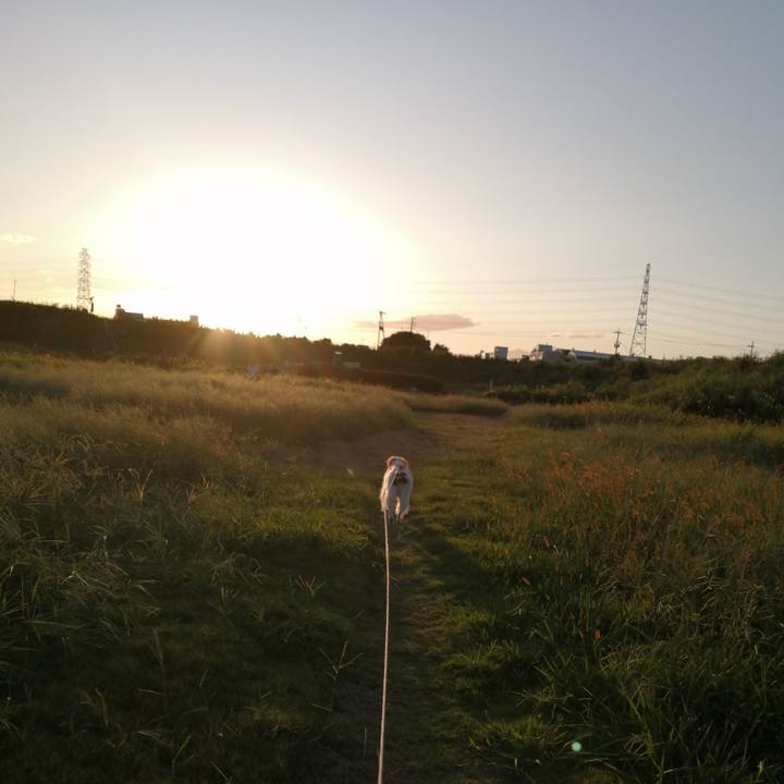 Cf600529 9983 4609 af2d 6e3b7b9b3290 1601206630452