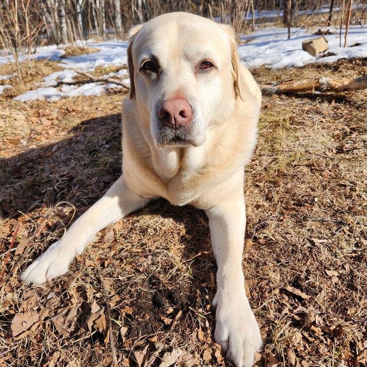 Cf60087f a905 4cdf 9be1 f09919c20997 1770550439658