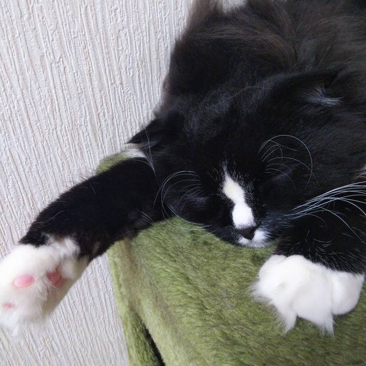 Cf600aa5 8bdd 41bb aea2 5722bd46b6bf 1661493163982