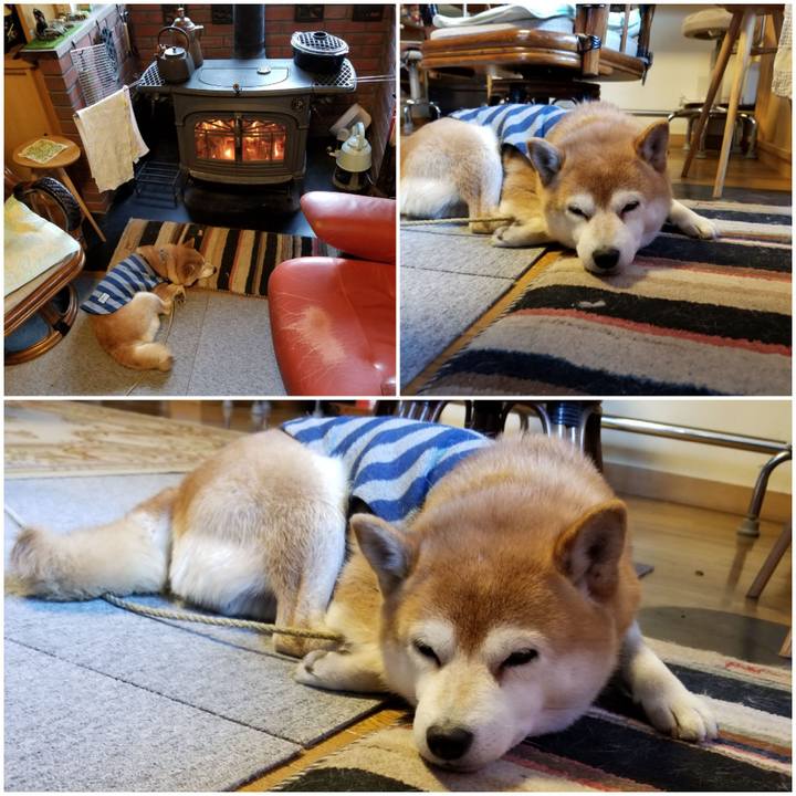 Cf602304 4086 488e 888b 992f1012d515 1580341347369