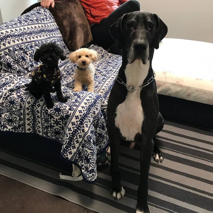 Cf6037ad 7cce 48e8 aaba 48d844aea029 1516575426061