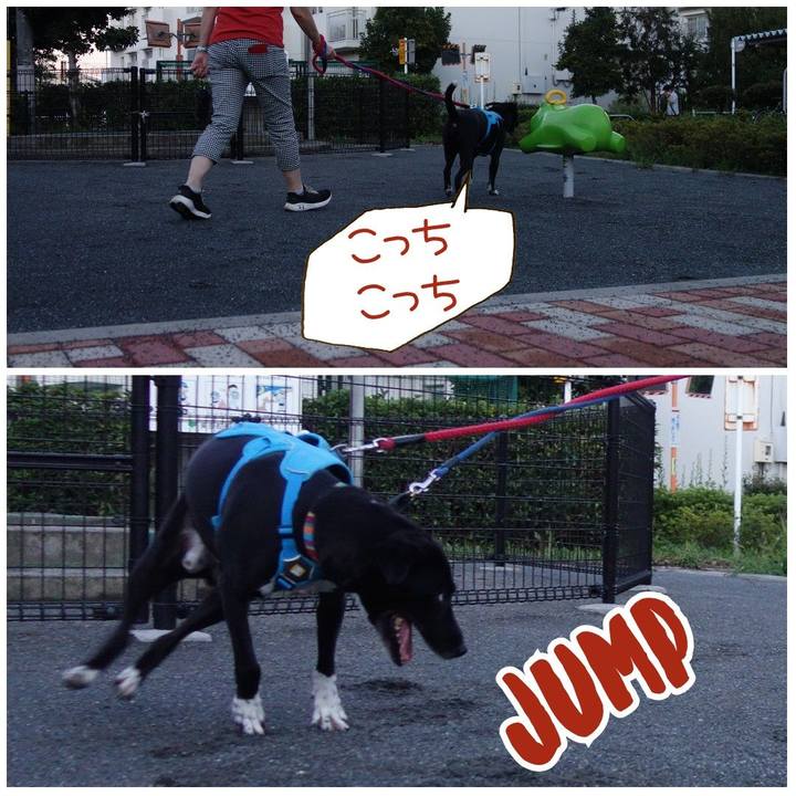 Cf606fee 1942 4a25 afe8 143e189b6562 1629284866424