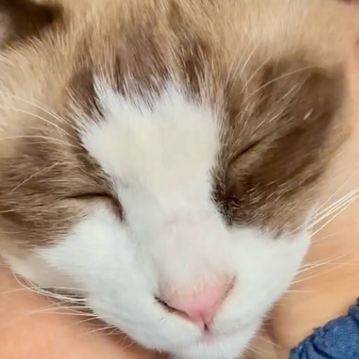 Cf607284 2503 4f3c b44d c3c11804321e 1763088571621