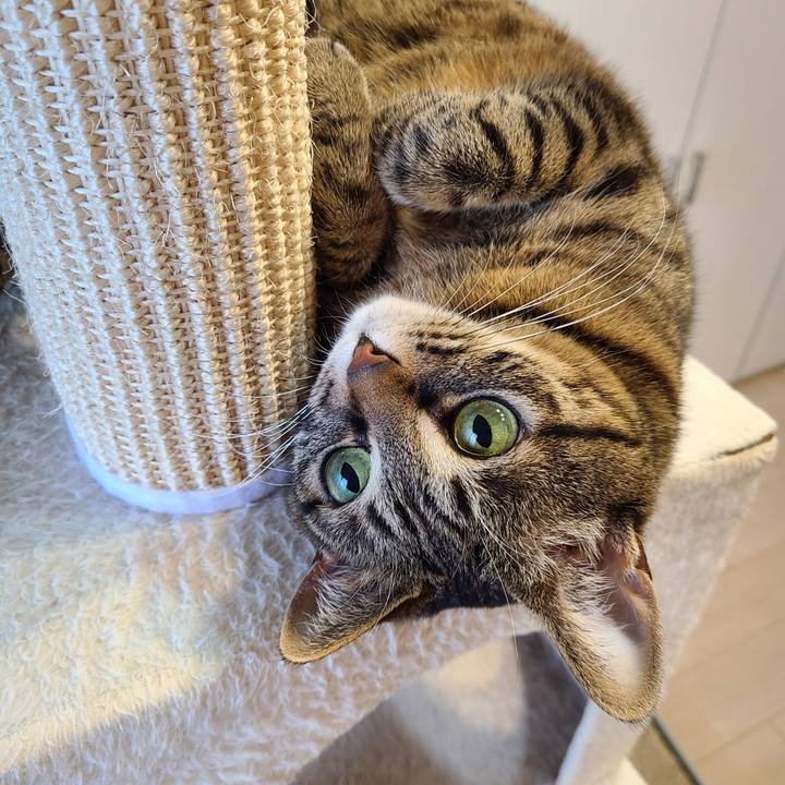 Cf60a6a3 cded 43e0 b581 d8bfb2297aa0 1677676046732