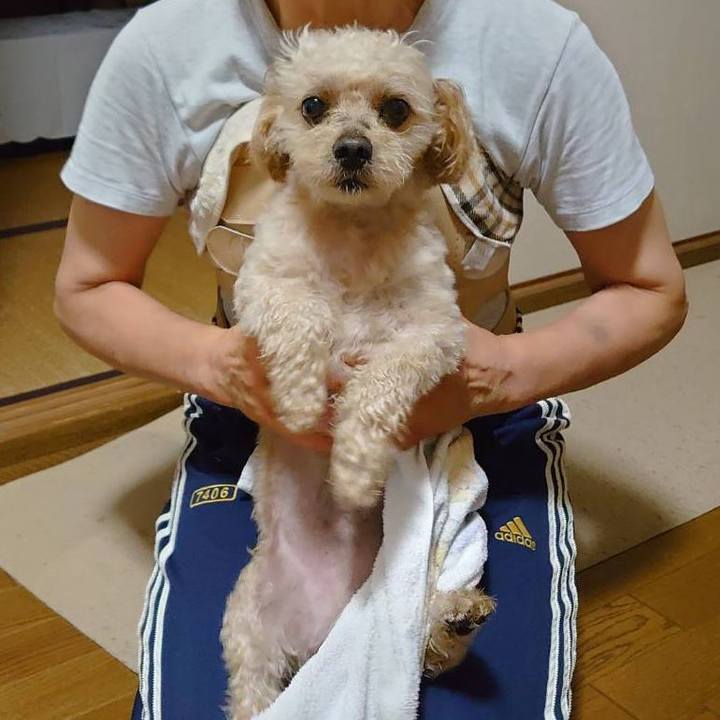 Cf60a98f adef 4984 bdf7 9dfd8e2f0b5c 1625653450009