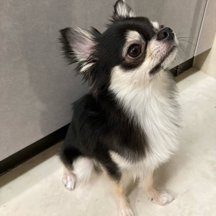 Cf610c84 95d8 4c7d 92a4 ef06a35e68e6 1628517177542