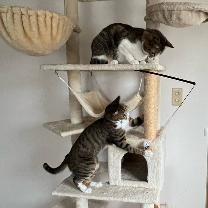 Cf6157ad 91d2 4c5f 8932 7145c2b18e91 1722590452426