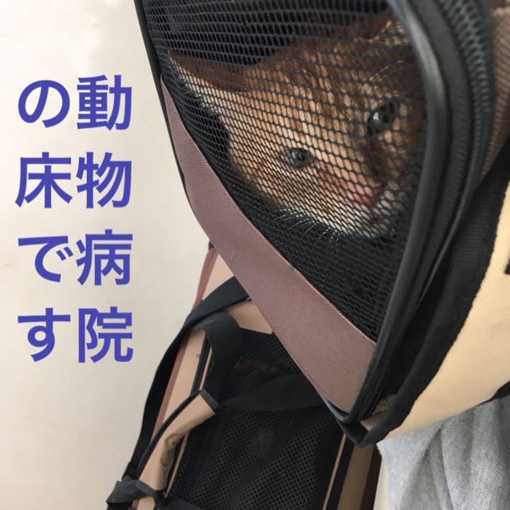 Cf6159fb ee2f 47e9 98b2 2185ebd52d97 1538269471203