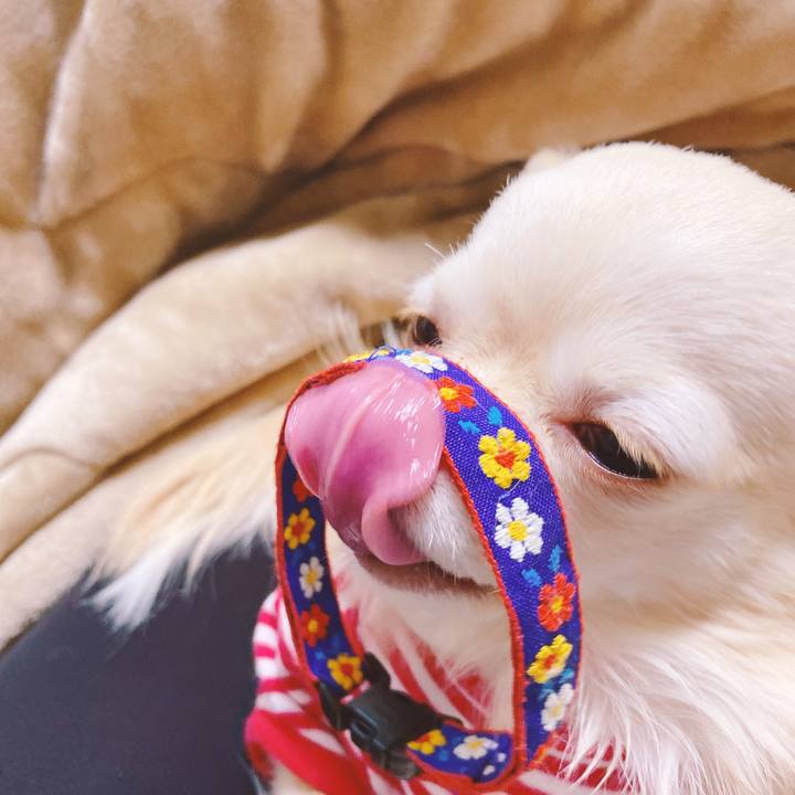 Cf616682 fc8f 48e7 a311 71ef79632f49 1641892931447