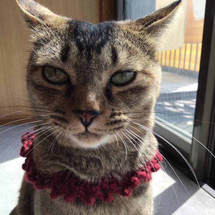 Cf6167e0 2c69 416c b32d 4ffd0c130285 1615428384702