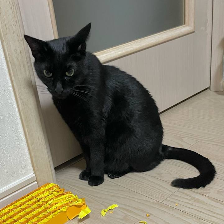 Cf61baa0 e534 48e1 a58e 1438c854d298 1733139543727