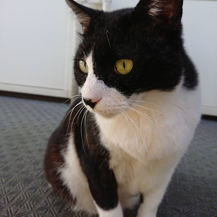 Cf61be52 86aa 4170 9501 ecbcdfe7d5d4 1570229302262