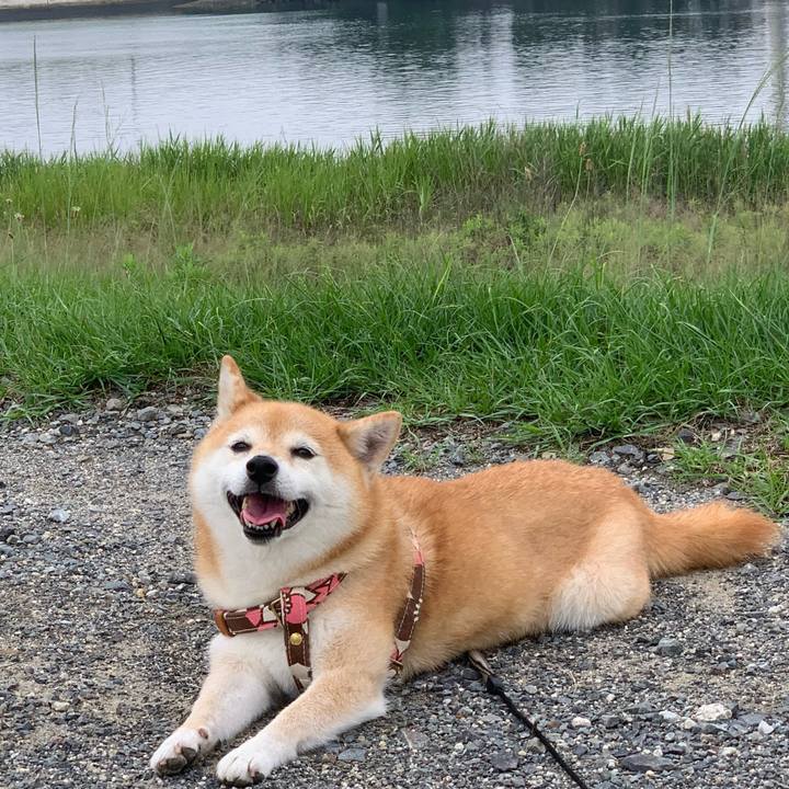 Cf61d733 6f7a 489f b5d3 49493bed143c 1625373722039