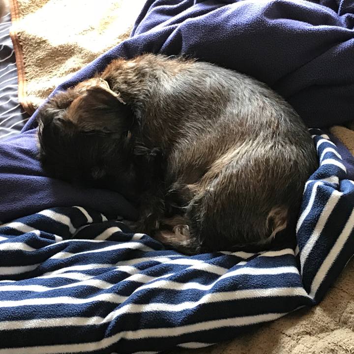 Cf620b51 7951 434b 8cfb a690d5e2aa1f 1519780362906