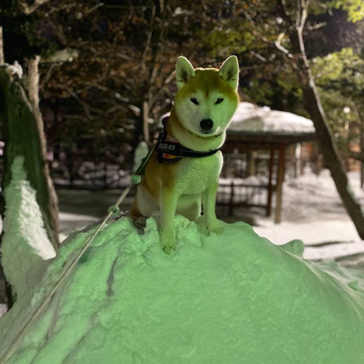 Cf6224ca 0115 42eb aed4 f87fdf0f070a 1674812608008