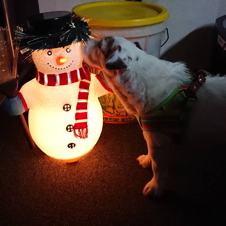 Cf623903 e644 4760 8700 fc12ee43e04f 1545783350447