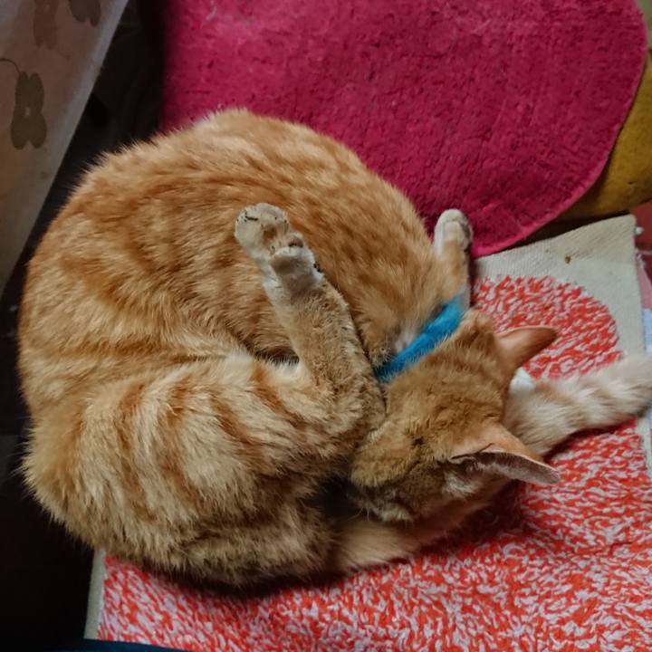 Cf625704 c40d 41f5 a62b d9499d20db05 1557003740246