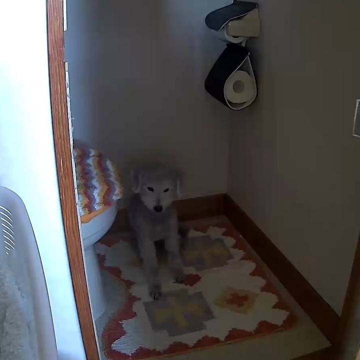 Cf626283 fd6e 4bad 9641 c5ad3e74f2cc 1605064264070