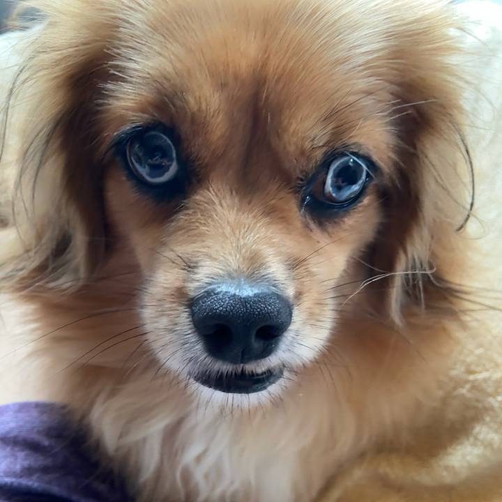 Cf626791 629c 4710 bc75 264a86a28151 1599964559944