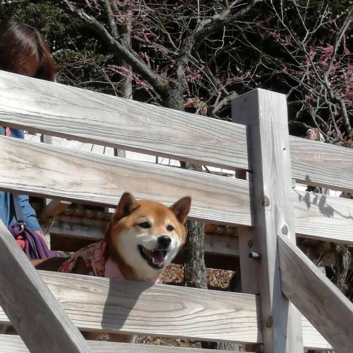 Cf626d7a 2da8 4ddf 8f2b 864e901be488 1677906983569