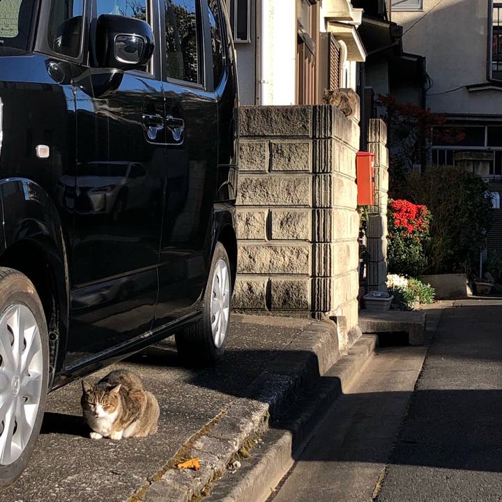 Cf62a26e c43f 4b5a 9496 bbc33fc225cf 1609362646289