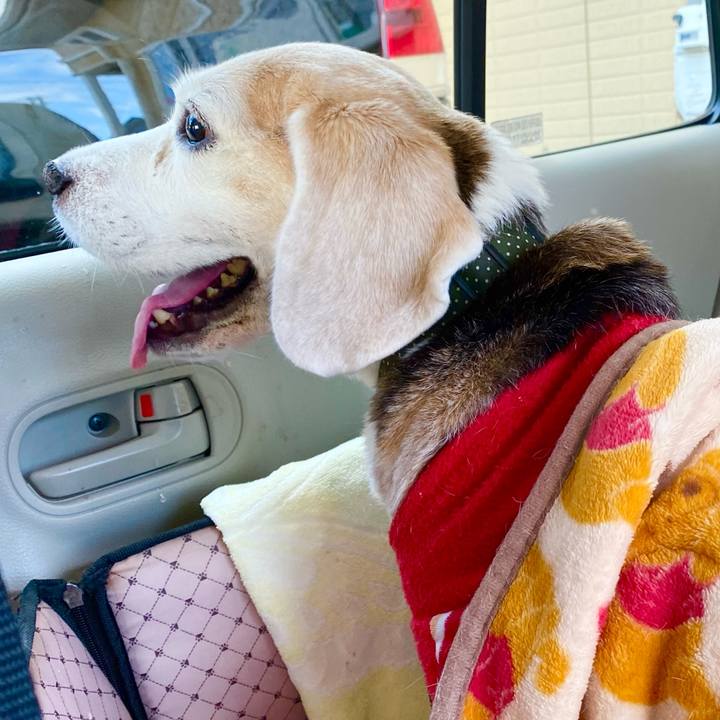 Cf62b508 6aa6 432e 8ec3 e187746b7231 1669123686383