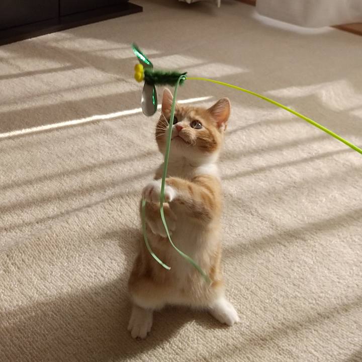 Cf62b78e 22a0 49e4 b6ca 70c40ba70408 1708669411167