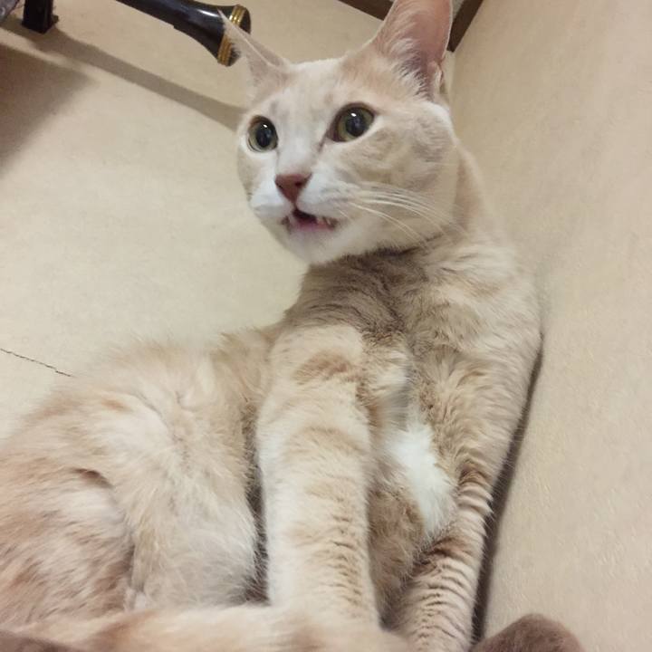 Cf62b856 060b 4906 92df 18b8e3caf606 1512729996664