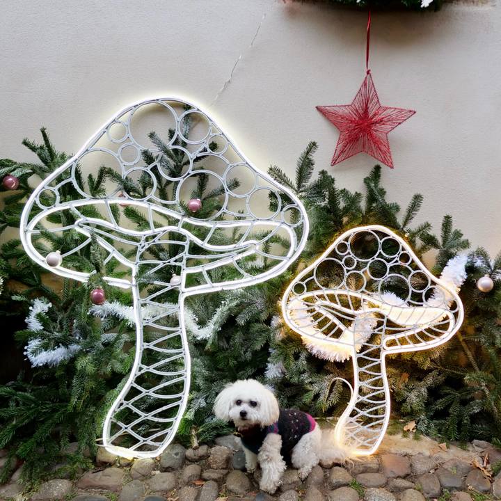 Cf62d682 0683 49d4 b3b5 98a835676b4a 1767049576101