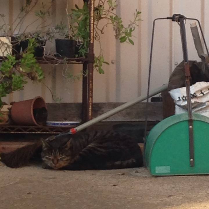 Cf62dc1d d589 46a4 8ba8 92268f59ec44 1509719188648