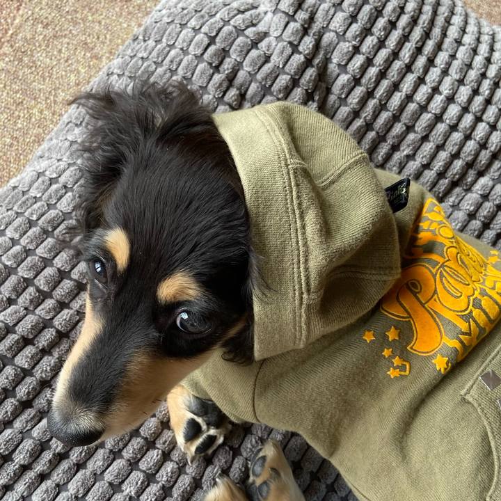 Cf63076f 8d1e 4a11 a4ee c8ced83137e6 1668081667751