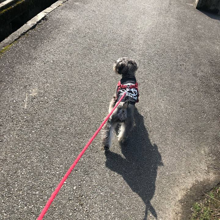 Cf631f3b a0d8 44c8 b7e1 655c206ed9ae 1549118885008