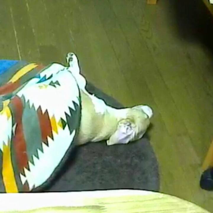 Cf633b34 2f0f 4ca4 be43 23092850ab7a 1541488572511