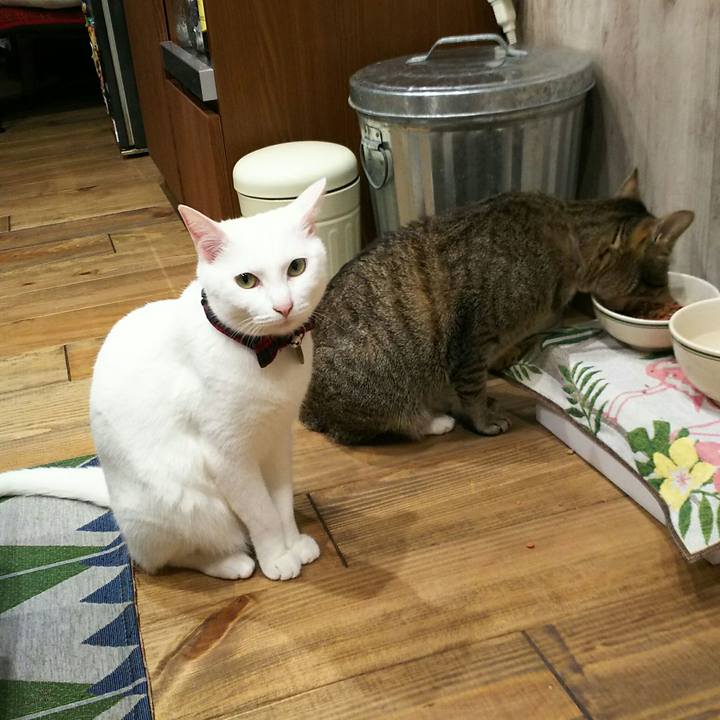 Cf635ca3 7aec 4508 8bd5 f77f178b1457 1522594146487