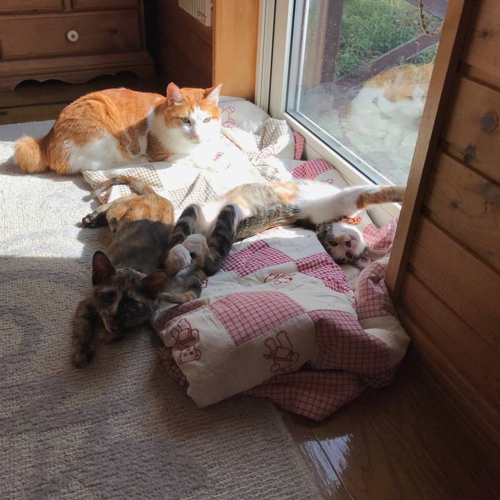 Cf63a160 5b7a 457b a0d3 7a269dbfd66a 1601687669334