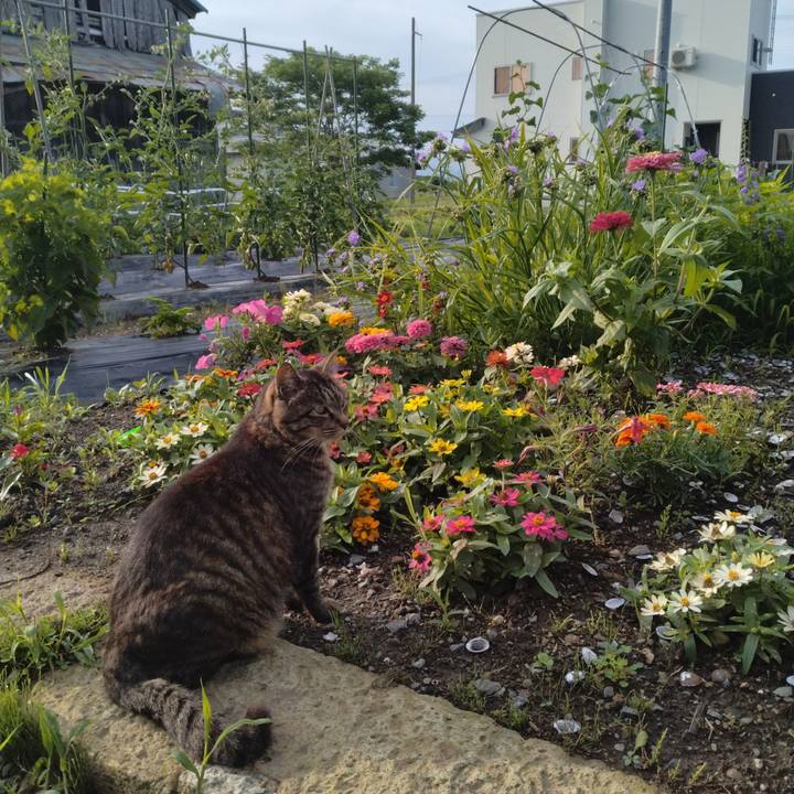 Cf63f7c3 56df 4d4e 9671 651afb60b7af 1688252786981