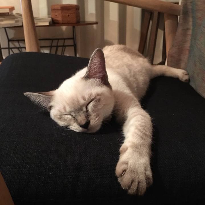 Cf64225a e4e8 4725 b960 fa8119097d9b 1537267461741