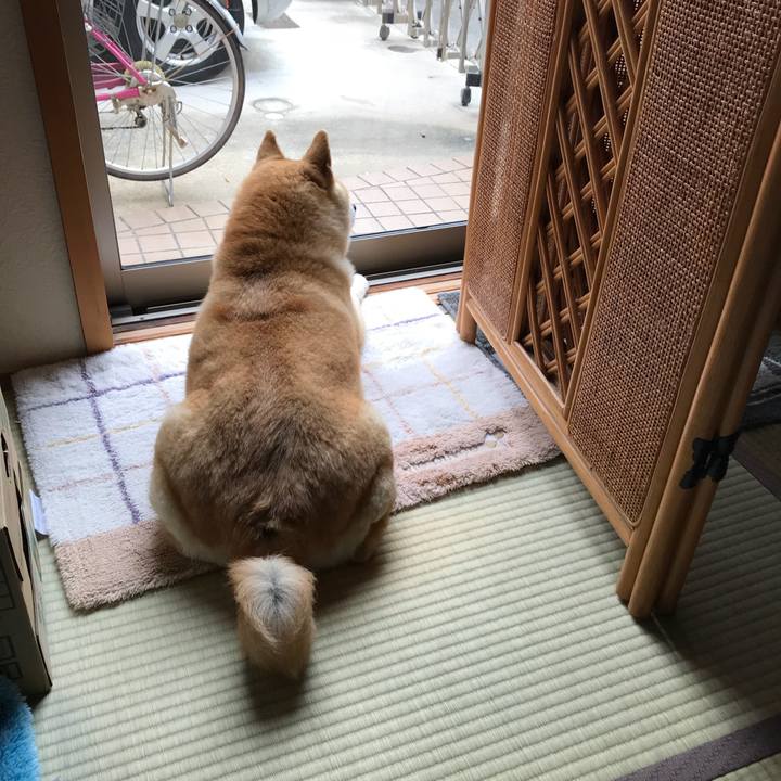 Cf643f2e d158 4d1e a62b 770e39b15535 1525786918817