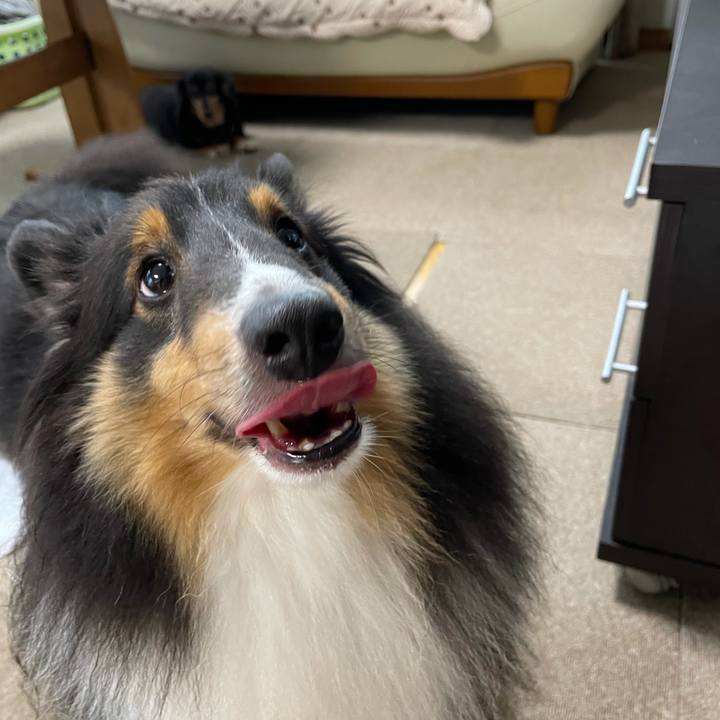 Cf6456b7 18ee 4143 b443 d47c1630280f 1630446259527