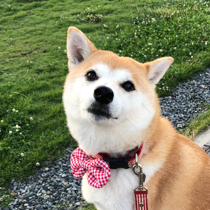 Cf645920 1337 4804 a835 a283a0a8b7a0 1569366523936