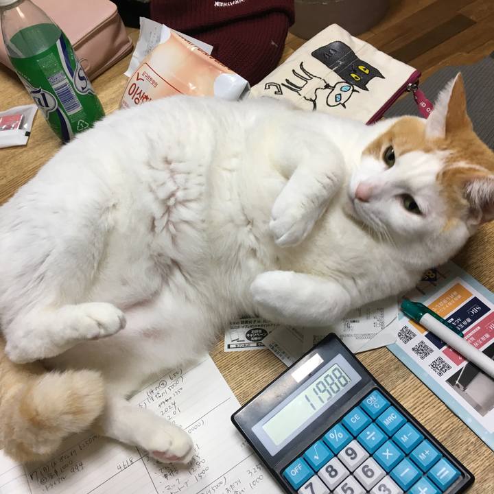 Cf646f29 da64 42ce 8e13 e6e4a5c8a6ce 1545555402178