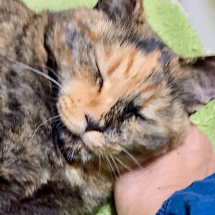 Cf6487ff c3cc 429a b029 b907e62e206c 1754649090091