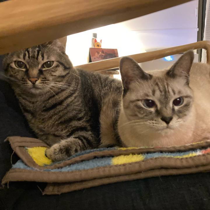 Cf64996d 03f2 4e25 b8f5 e14e0e52bc88 1634817613037