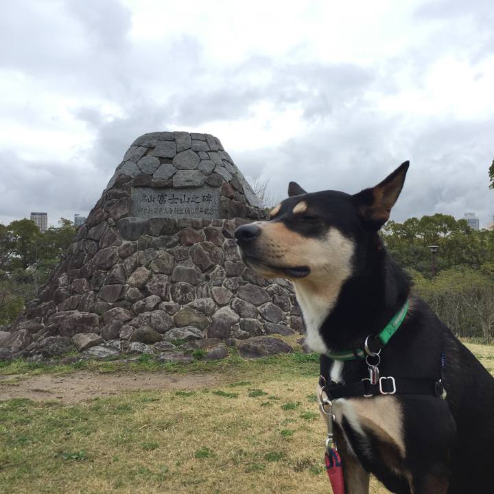 Cf64ad7e 8383 4140 ad2e ed5b3385cfd4 1521520100811