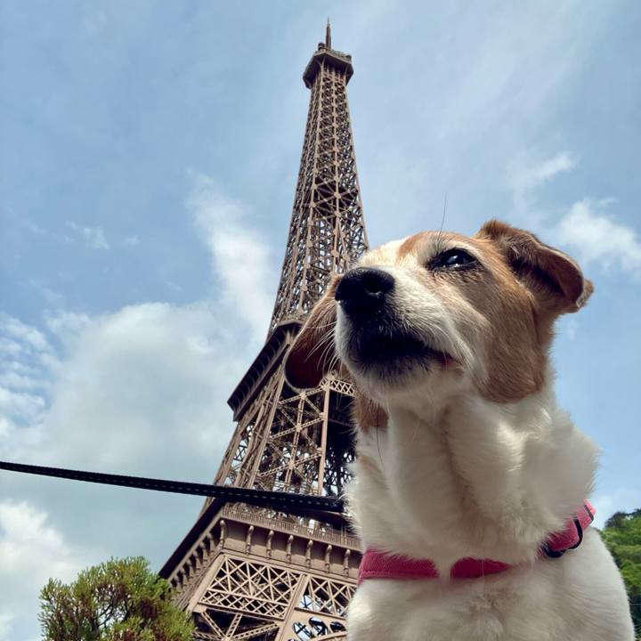 Cf65364a 2b63 497a 9d3c 46f56db0c51f 1714391794401