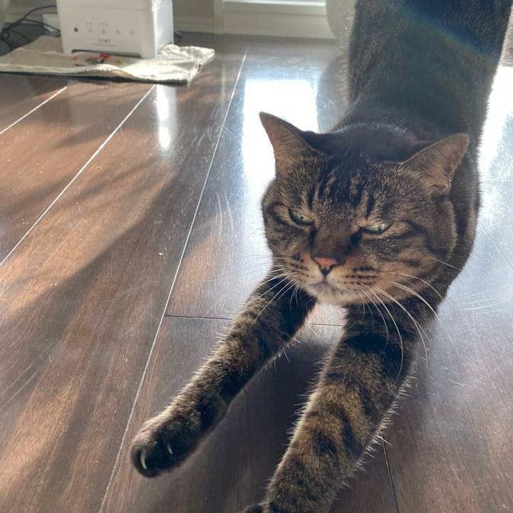 Cf658b4c 19b1 44cb 9984 695384c739c4 1765546682878